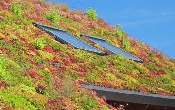 Warwick Bridge living roof systems