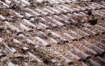 Warwick Bridge roof cleaning companies